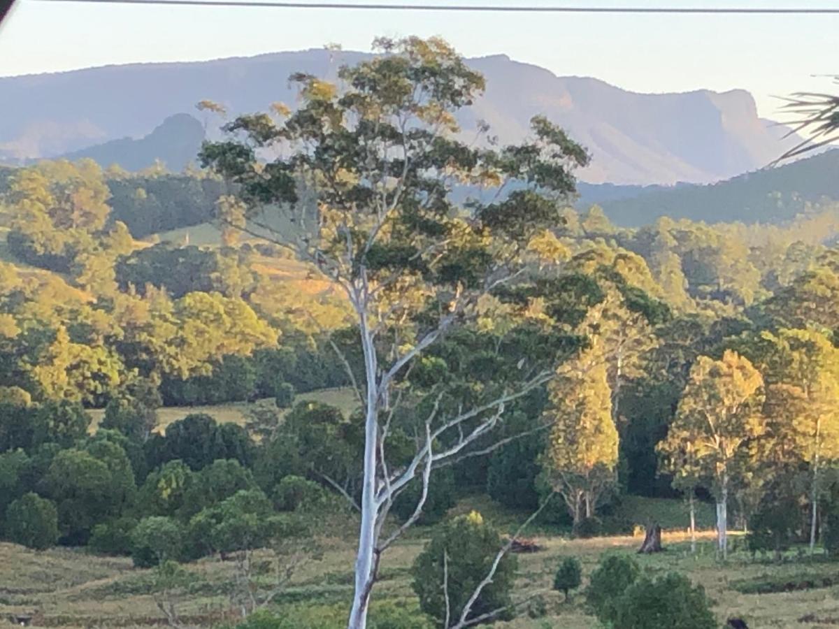 Grey Gum Lodge Nimbin Eksteriør billede