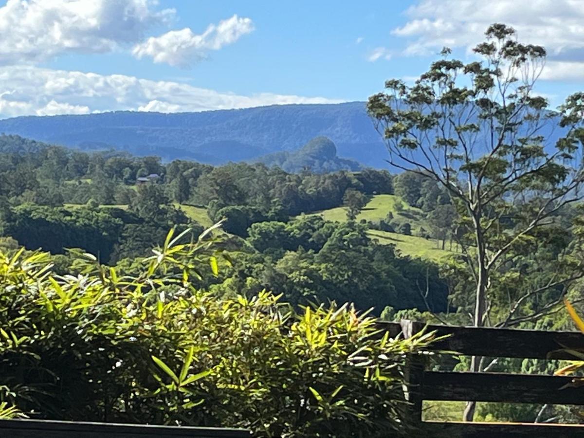 Grey Gum Lodge Nimbin Eksteriør billede
