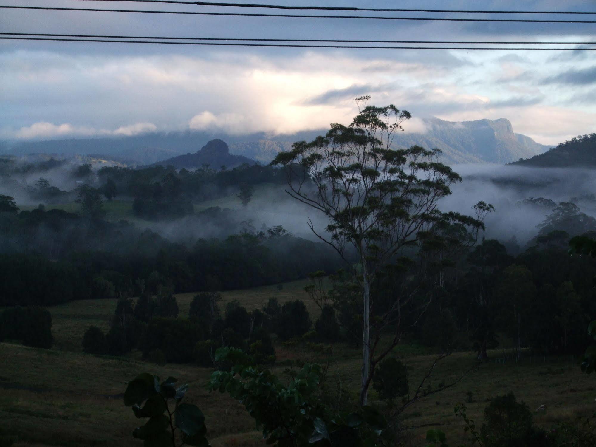 Grey Gum Lodge Nimbin Eksteriør billede